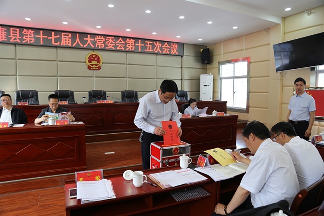 纳雍最新动态速递，最新消息汇总