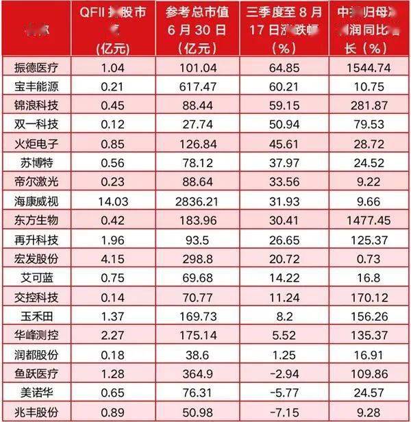 2024新澳门6合彩,稳健设计策略_炼皮境94.953