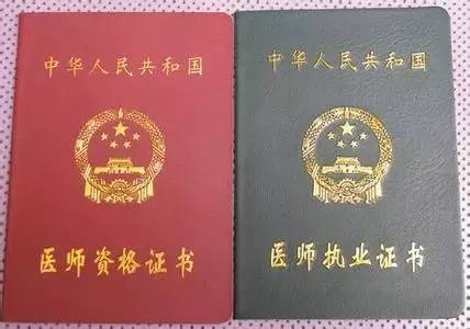 冬枣品种 第272页
