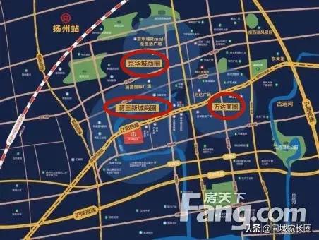 冬枣品种 第24页