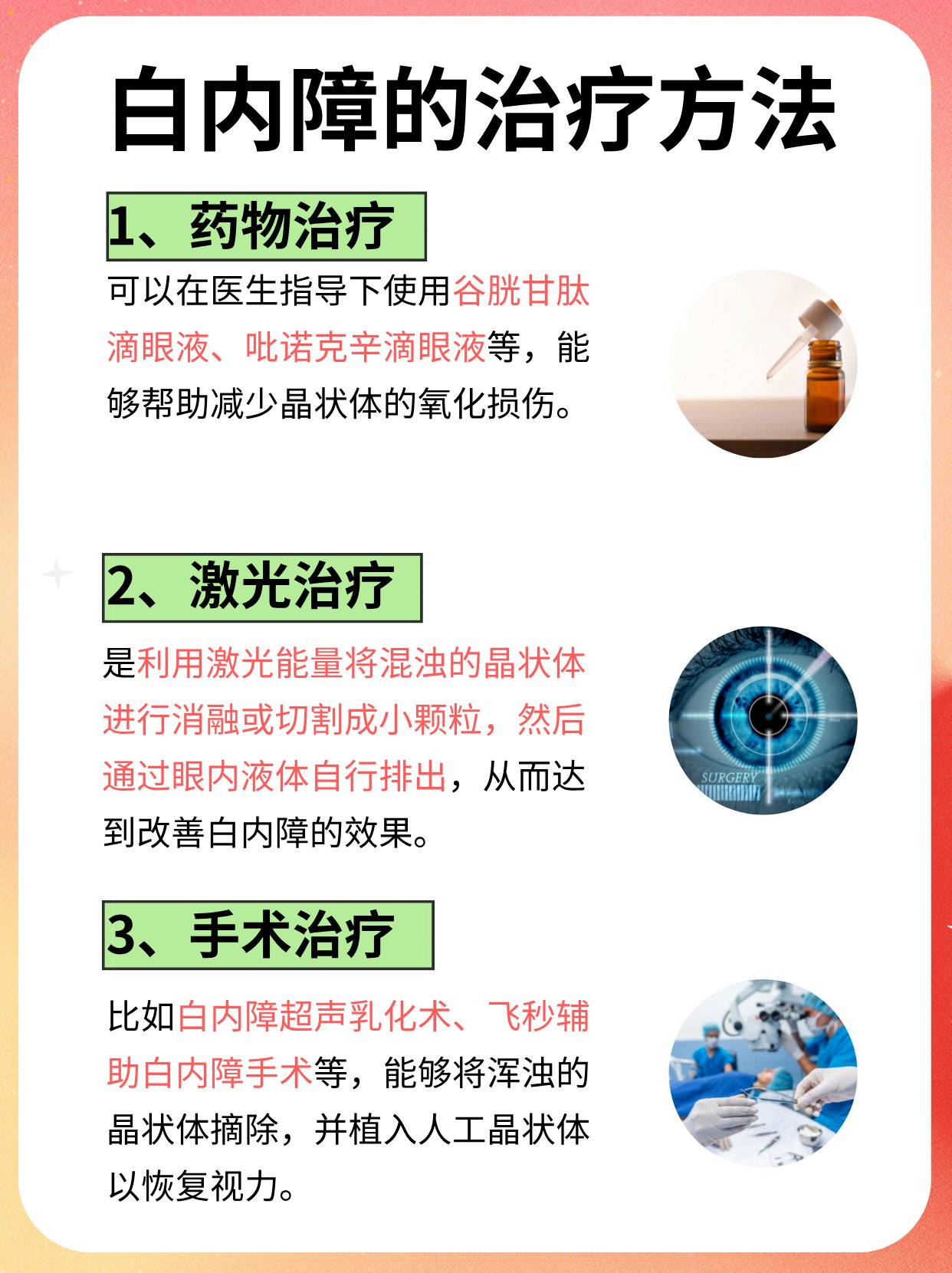 冬枣品种 第16页