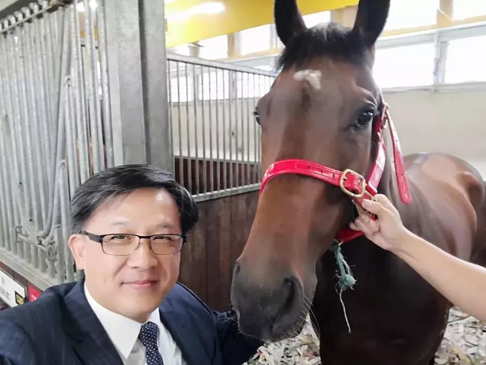 香港最新开马结果，机遇与自我超越的探寻之旅