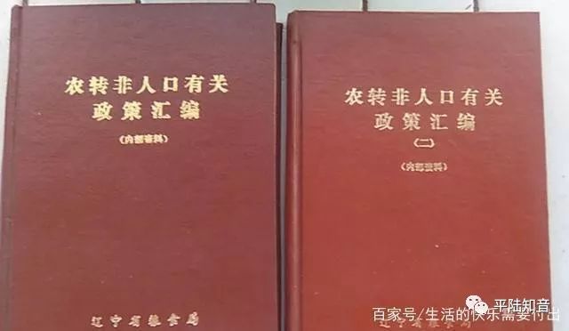 关于我们 第11页