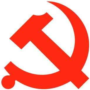 2017最新党徽胸章，时代标志与荣誉象征
