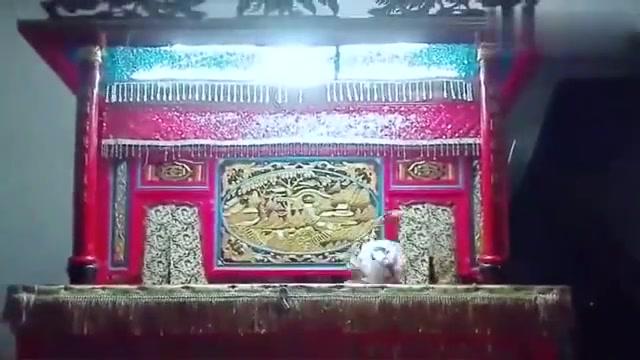 柘荣最新动态，观点阐述与解析