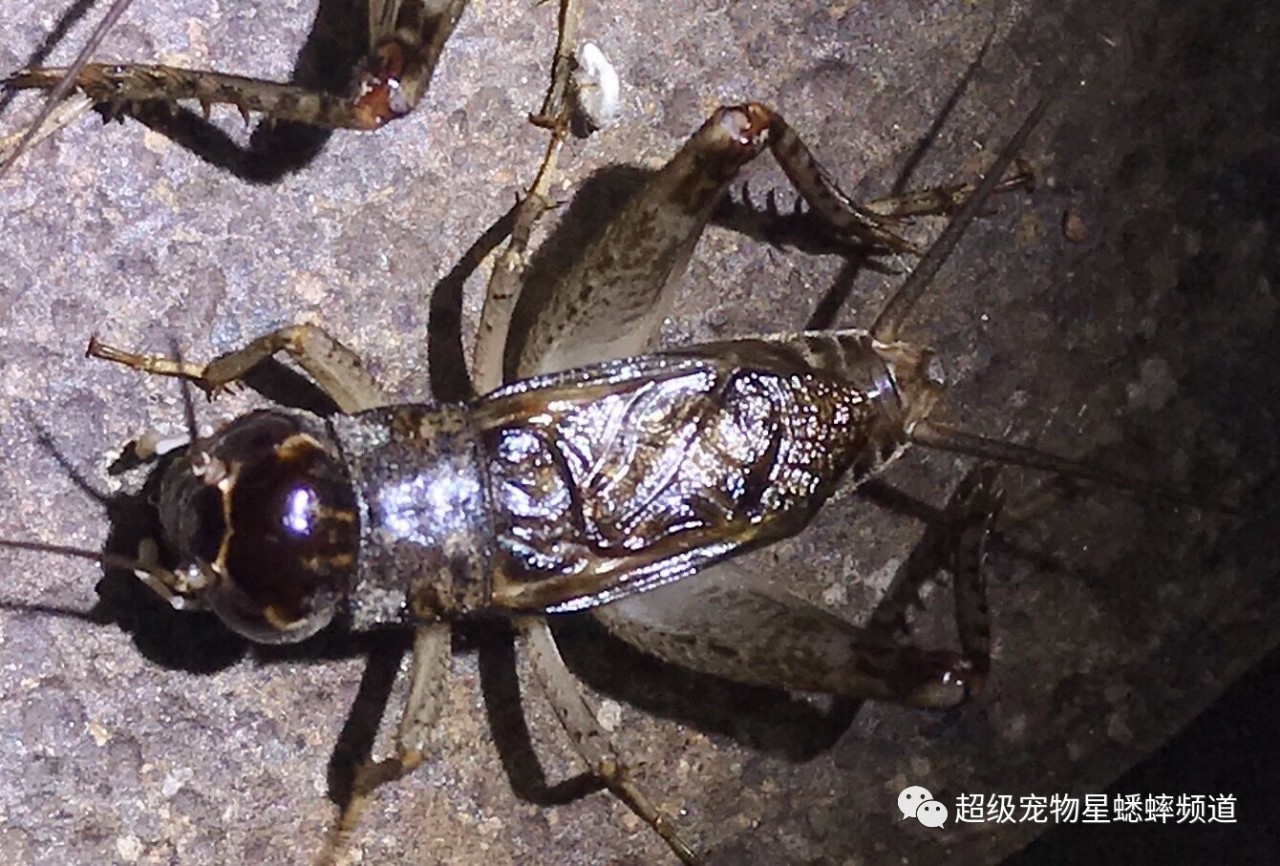 关于我们 第3页