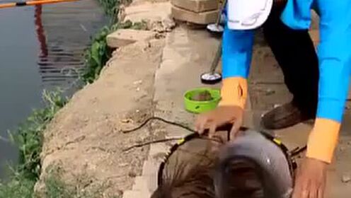 最新钩鱼视频大全，探寻垂钓小巷的乐园