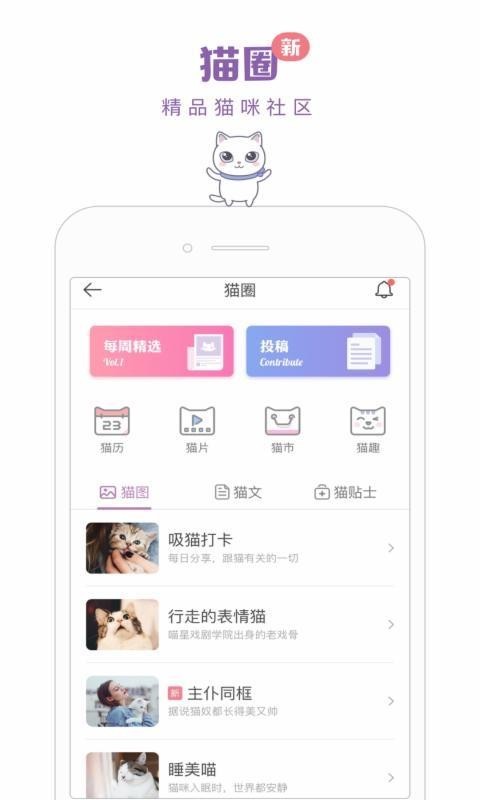 猫咪app官网最新动态，探索猫咪世界的全新体验