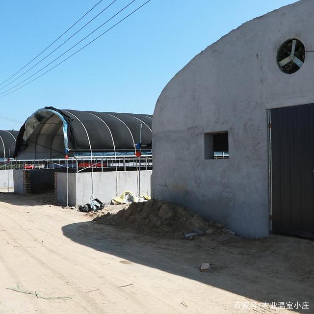 最新养猪大棚的建筑顶