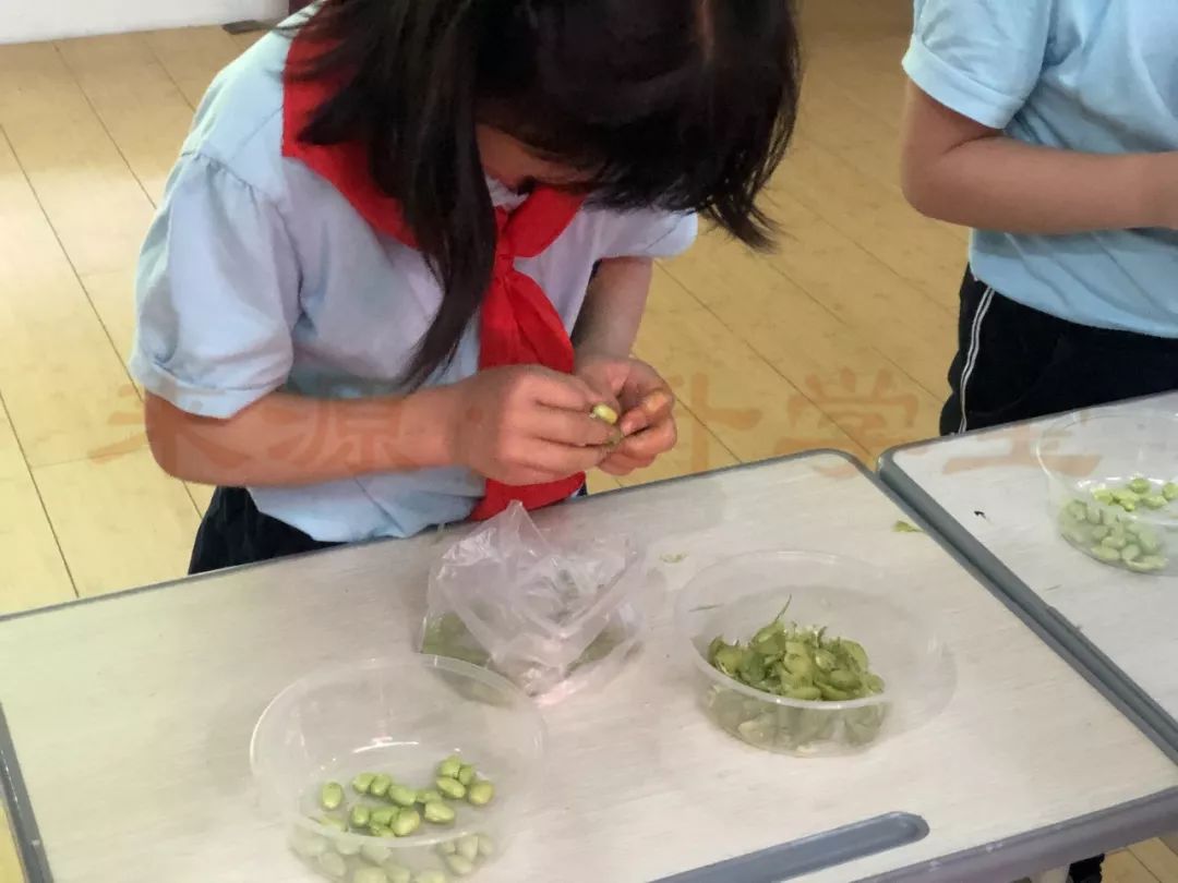 剥毛豆比赛