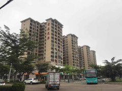 青春东岸最新消息