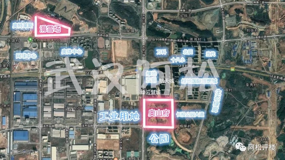 光谷龙泉最新消息