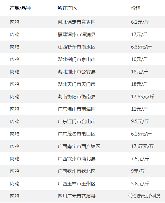 广西鸡价格最新行情
