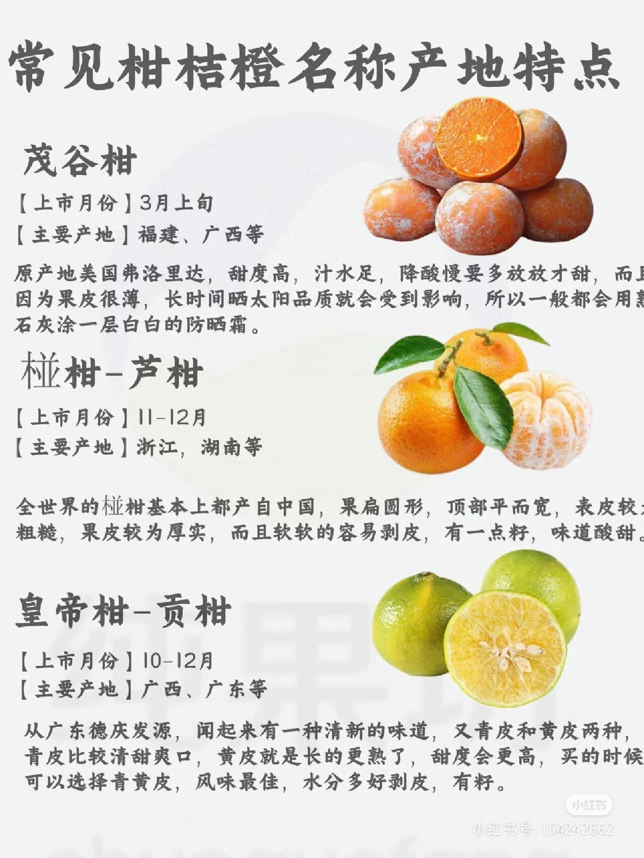 桔子最新品种