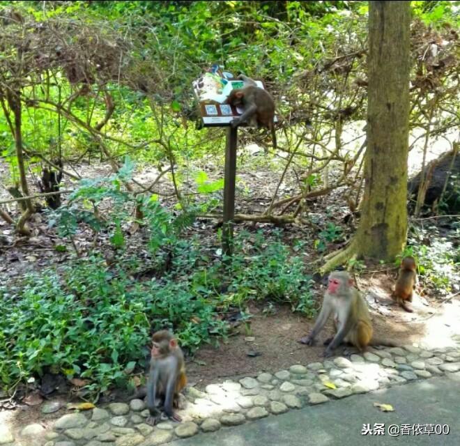 保亭最新房价