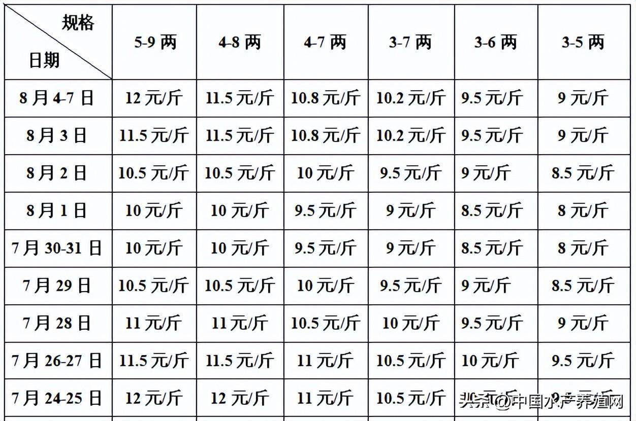 最新牛蛙价格行情